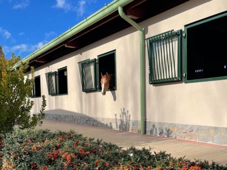 Stable Studios Portfolio 4:3 , 1280x960 - Anima_Equestrian_2