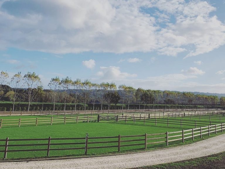 Stable Studios Portfolio 4:3 , 1280x960 - Anima_Equestrian_3